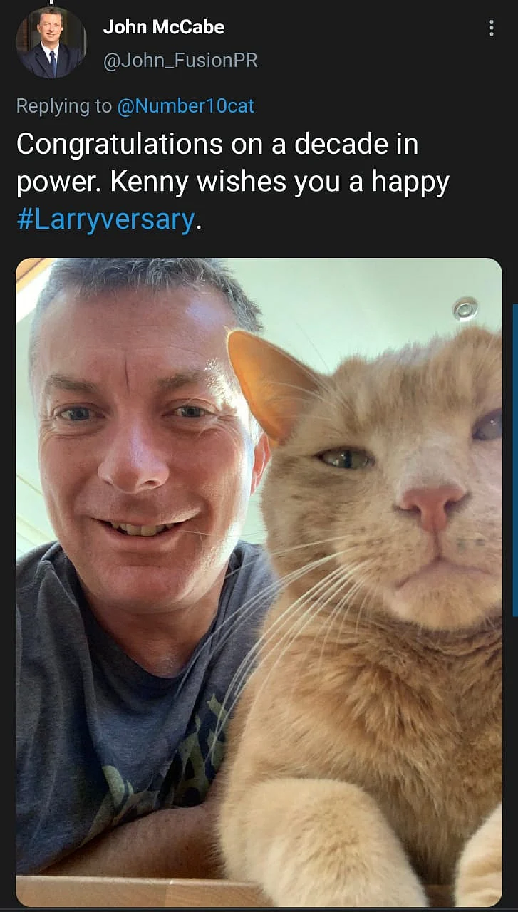 Cute Alert: Twitter Celebrates #Larriversary for Tomcat Larry
