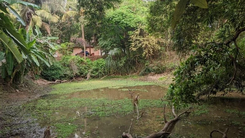 Goans join hands with migrant workers to revive dying ponds