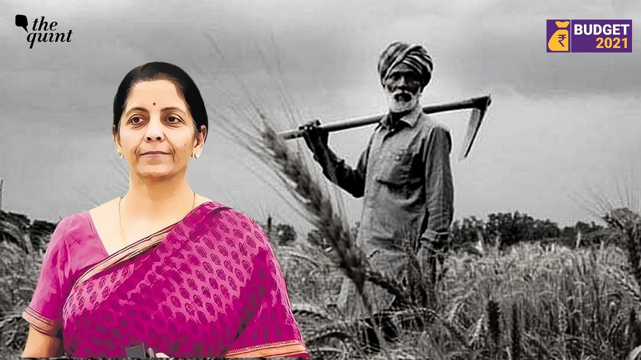 The number of farmers who benefited increased in 2021 to 43.36 lakh as compared to 25.57 lakh in 2019-2020, Finance Minister Nirmala Sitharaman while presenting the Union Budget 2021.