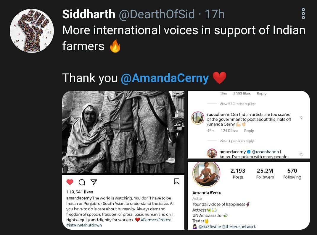 From Rihanna to Amanda Cerny, international celebrities have been lending support to farmers. 