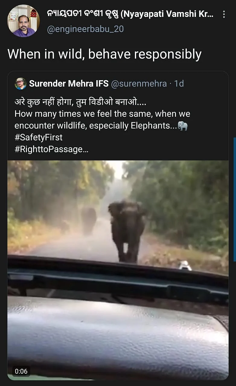Elephant Charges Towards Car as Woman Says ‘Kuch Nahi Hoga’