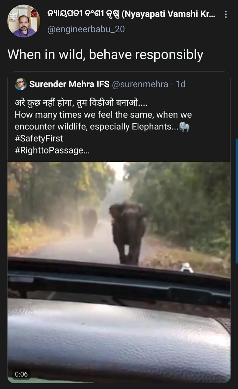 As a woman is recording her journey of spotting elephants in a safari, things take a turn for the worst