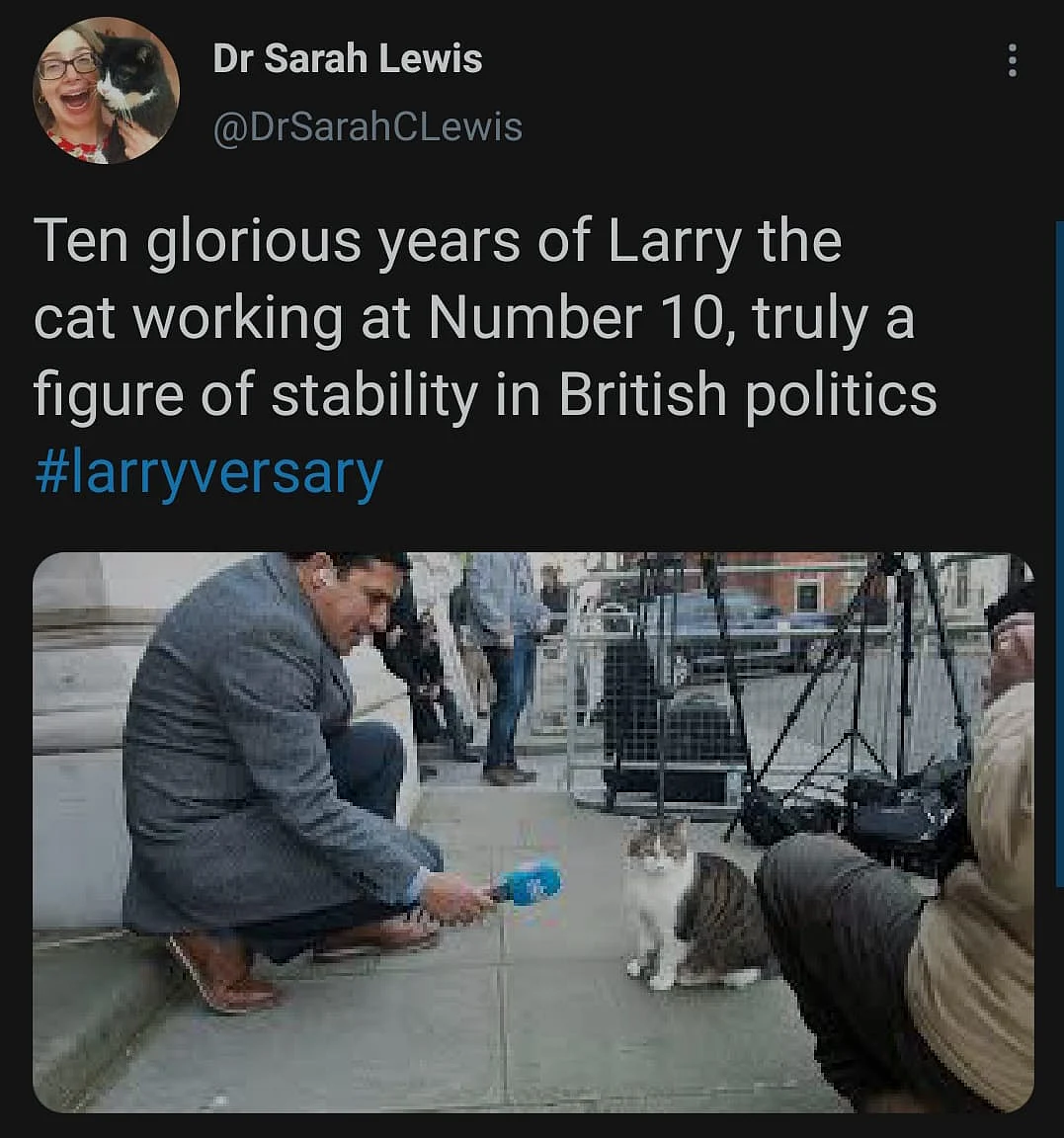 Cute Alert: Twitter Celebrates #Larriversary for Tomcat Larry