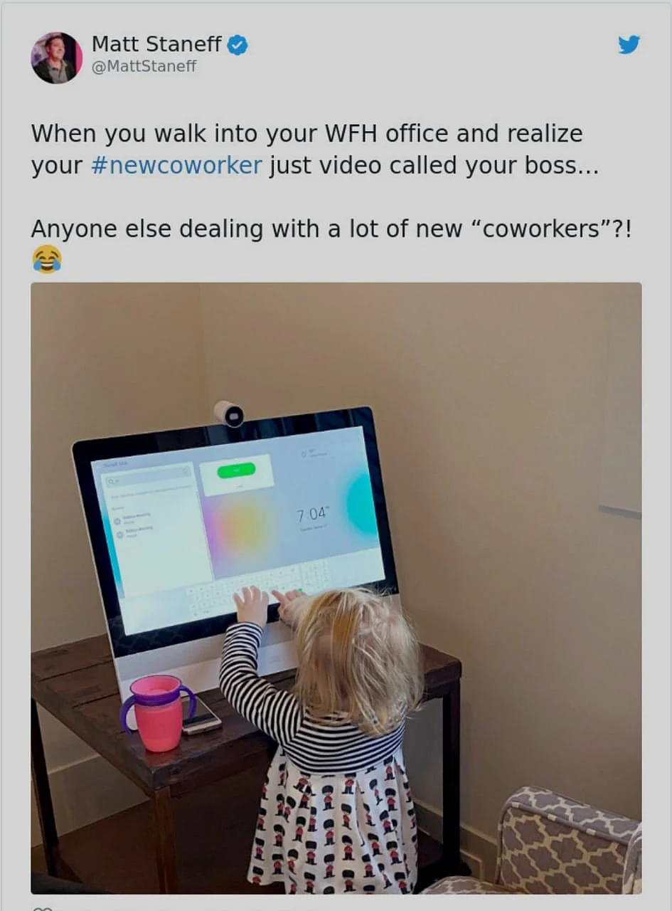 Watch: Lawyer Struggles to Turn off Cat Filter During Zoom Hearing
