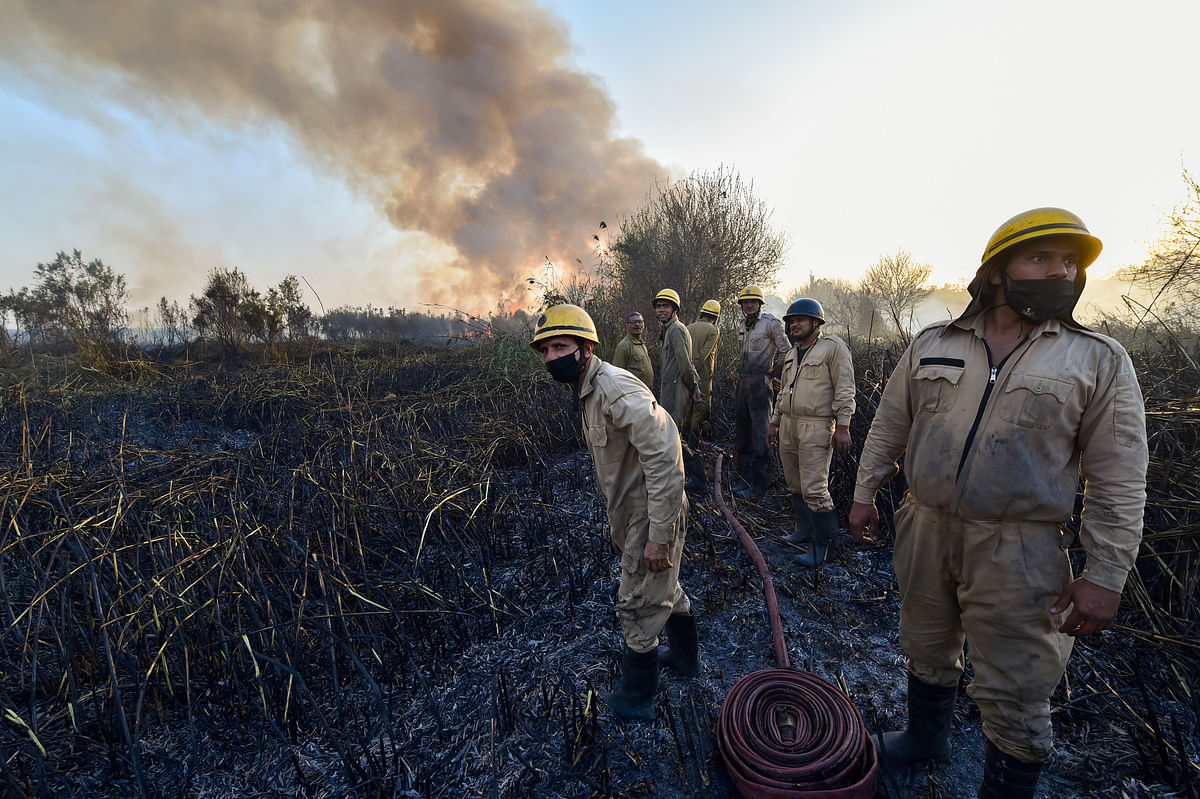  Fire fighters try to douse a fire that broke out in the forest area on the Yamuna bank near Rajghat, in New Delhi, Wednesday, 24 February, 2021.&nbsp;