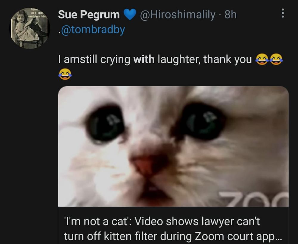 Watch Lawyer Struggles To Turn Off Cat Filter During Zoom Hearing