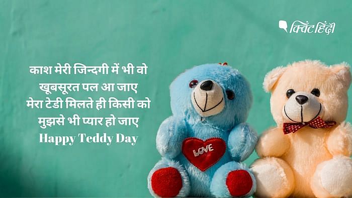 teddy day valentine week