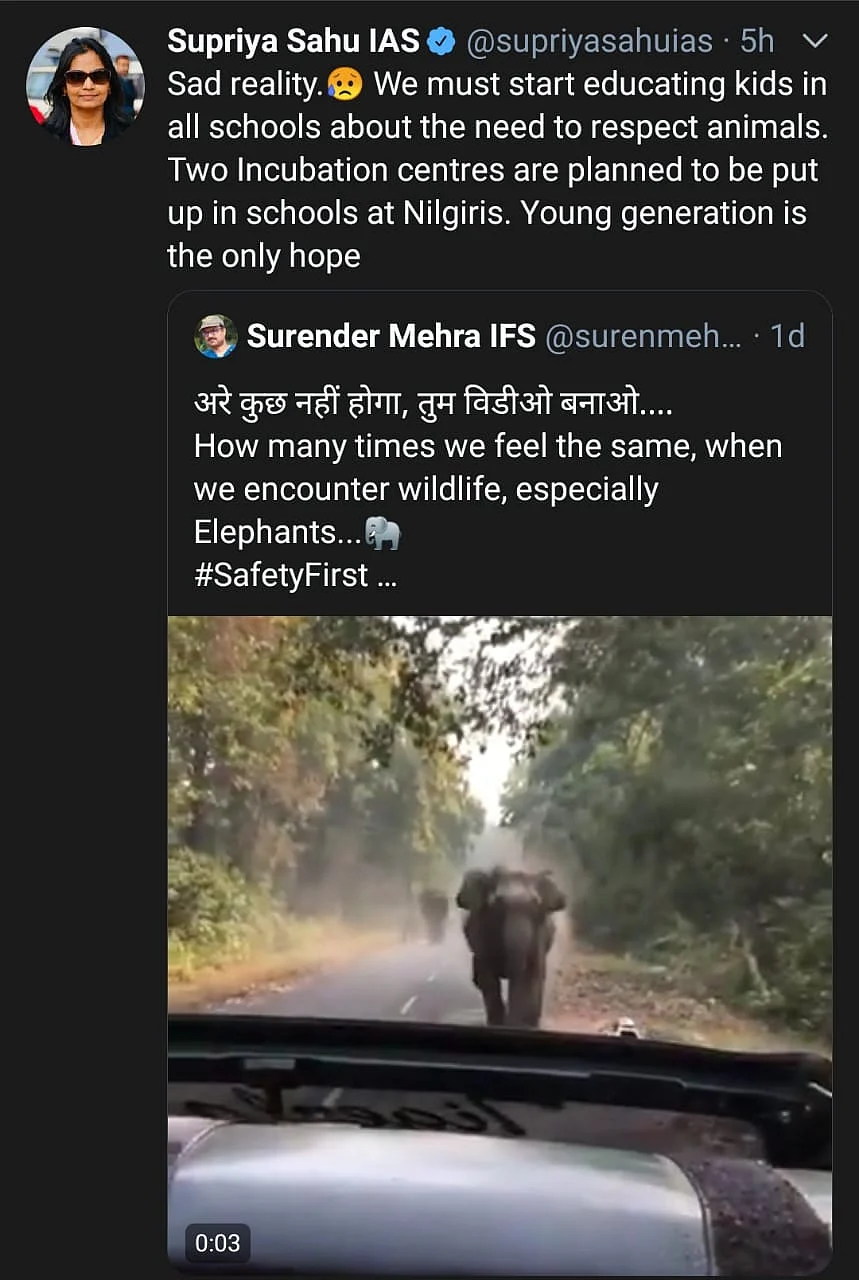 Elephant Charges Towards Car as Woman Says ‘Kuch Nahi Hoga’