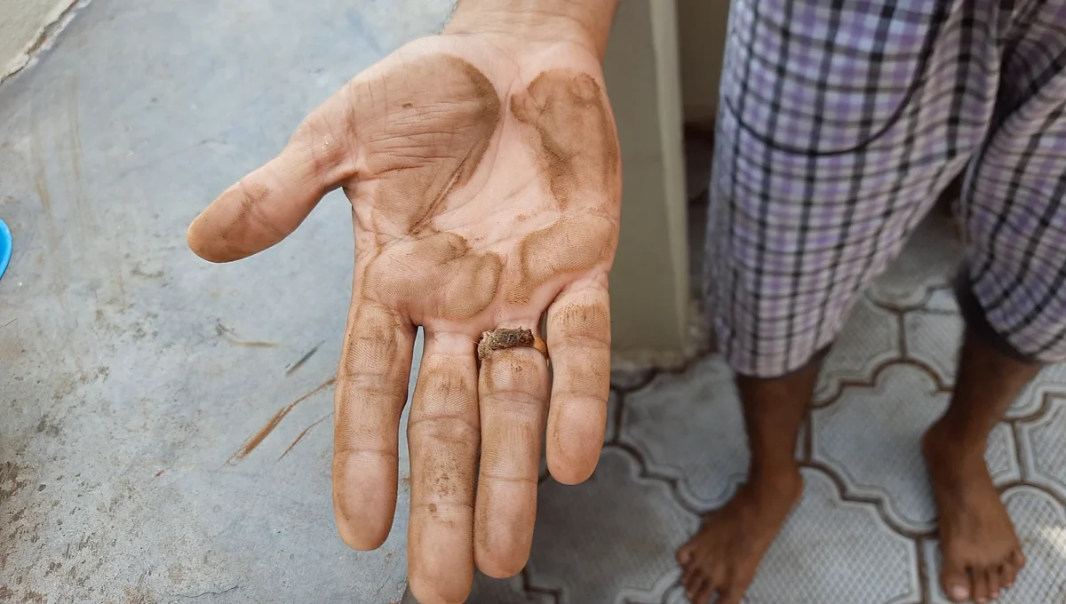 The coir pith that flies from the fields has settled on the ground making it difficult to maintain their homes.
