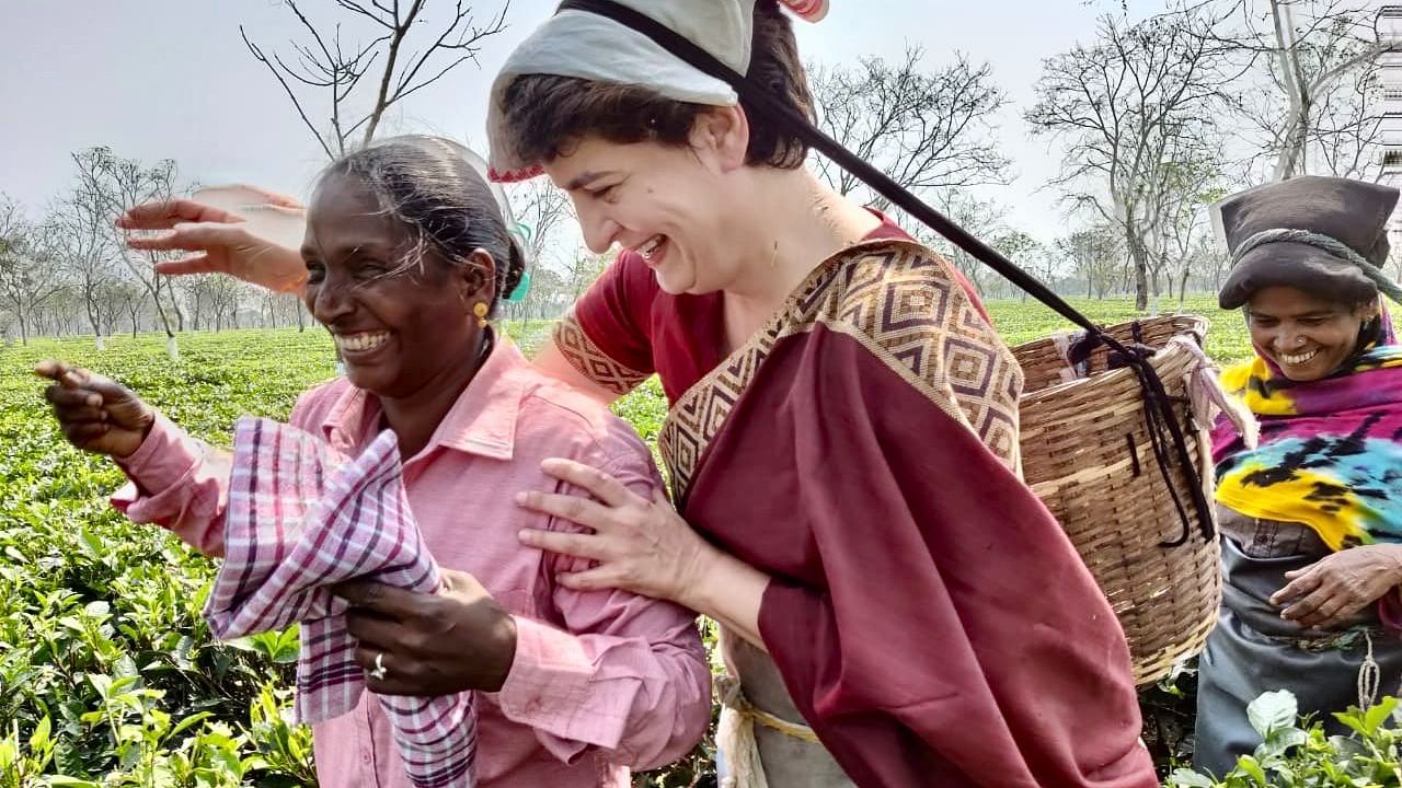 Congress leader Priyanka Gandhi, on her visit to Assam, plucked tea leaves alongside tea garden workers.
