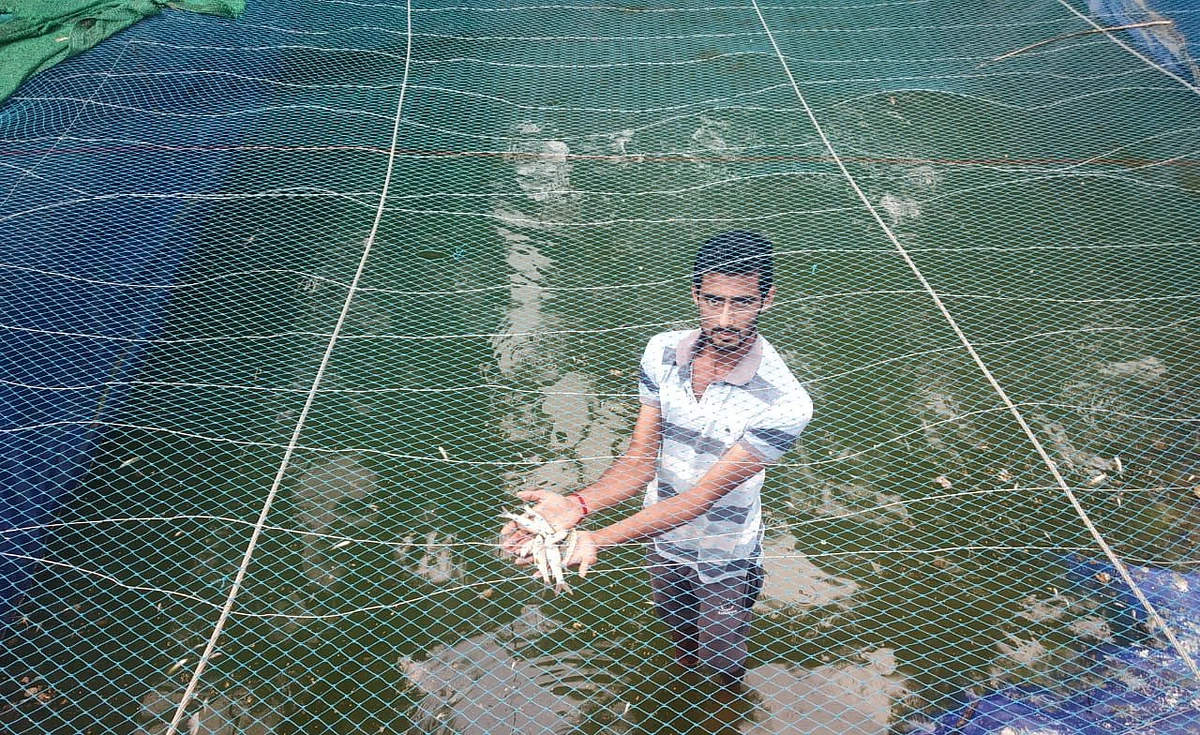 The fish in the ponds and wells have also reportedly died due to the contamination.