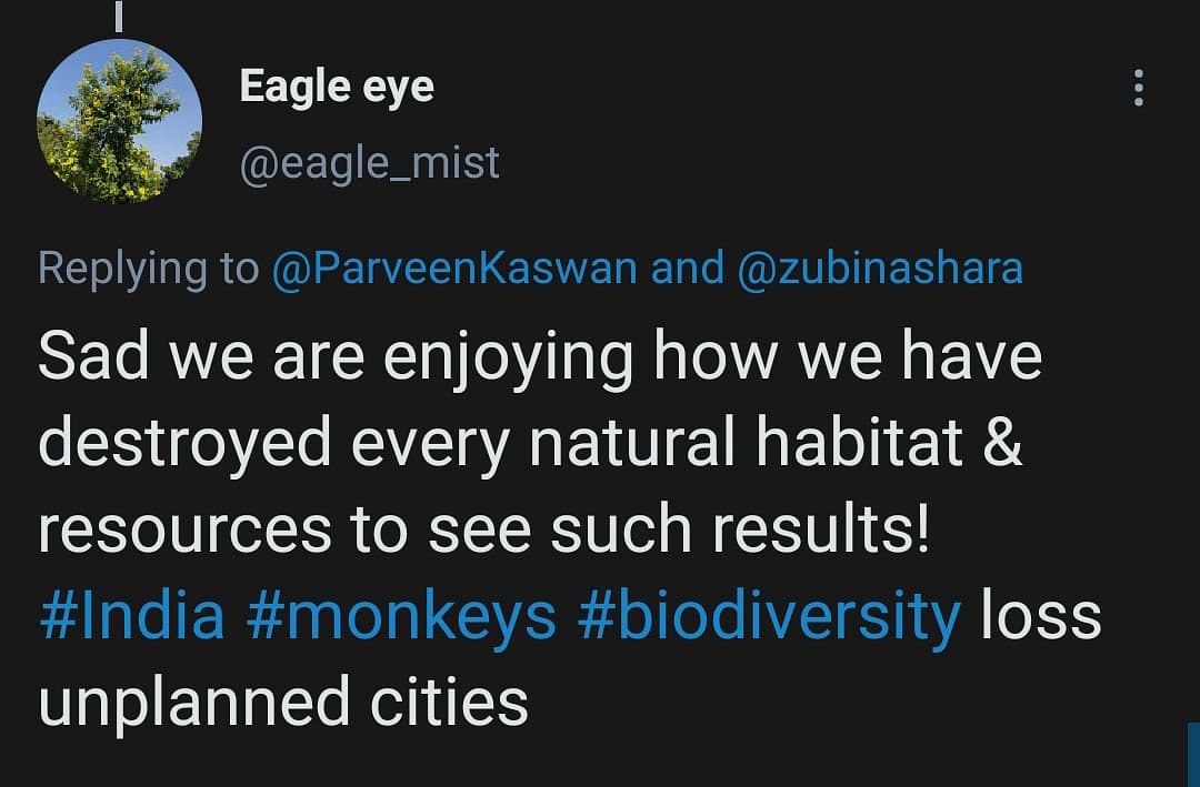The video was shared by an Indian Forest Services Officer Parveen Kaswan