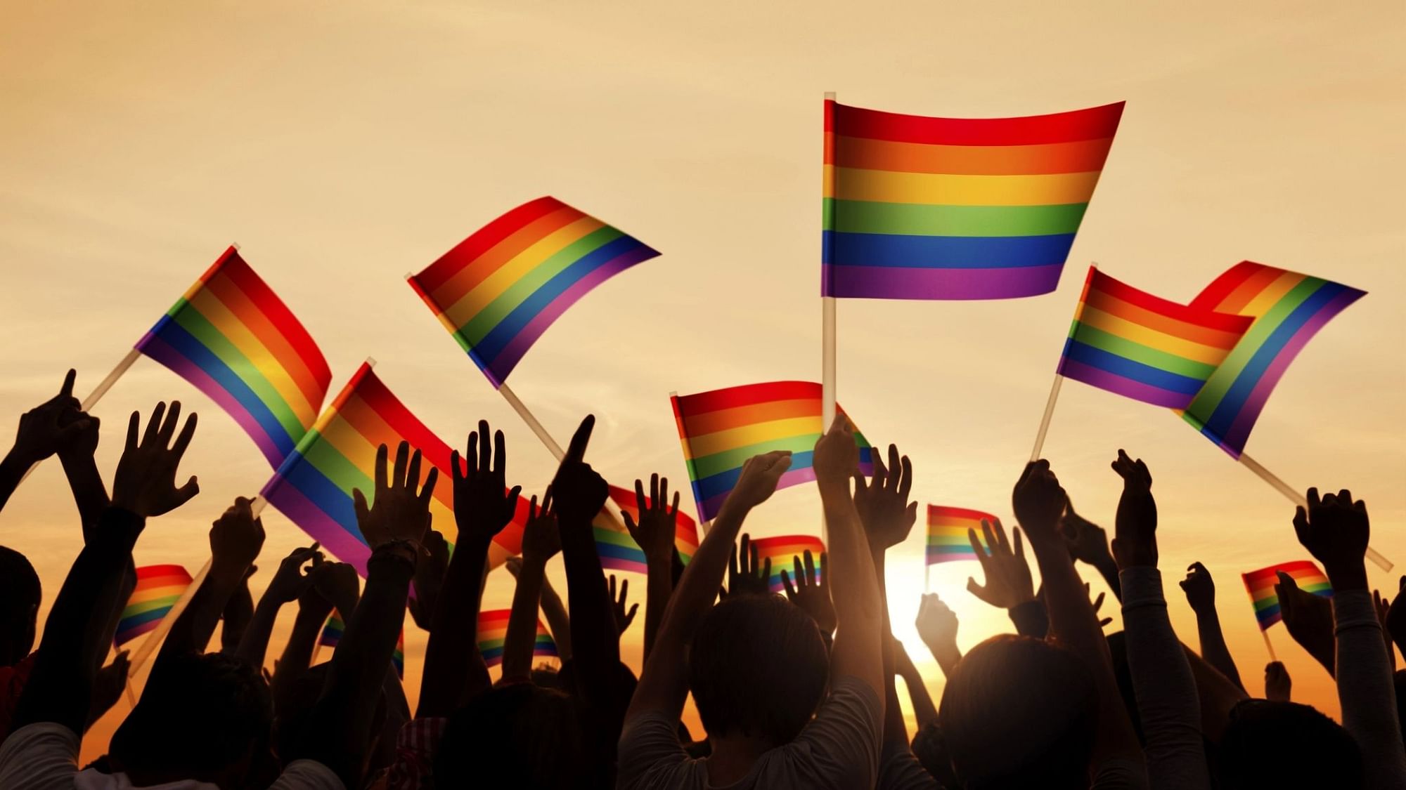 People waving symbolic rainbow flags.&nbsp;