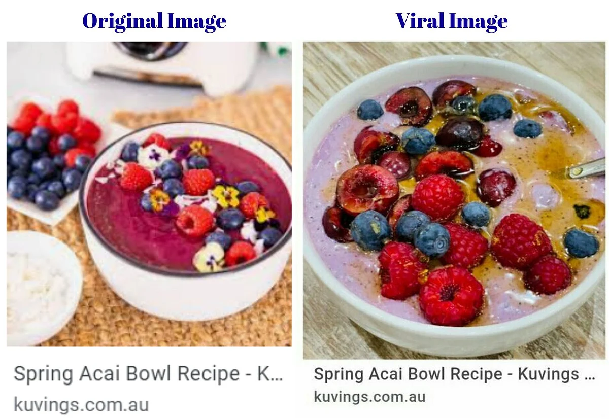 Kangana Used Google Image of Smoothie? No, Screenshots Are Edited