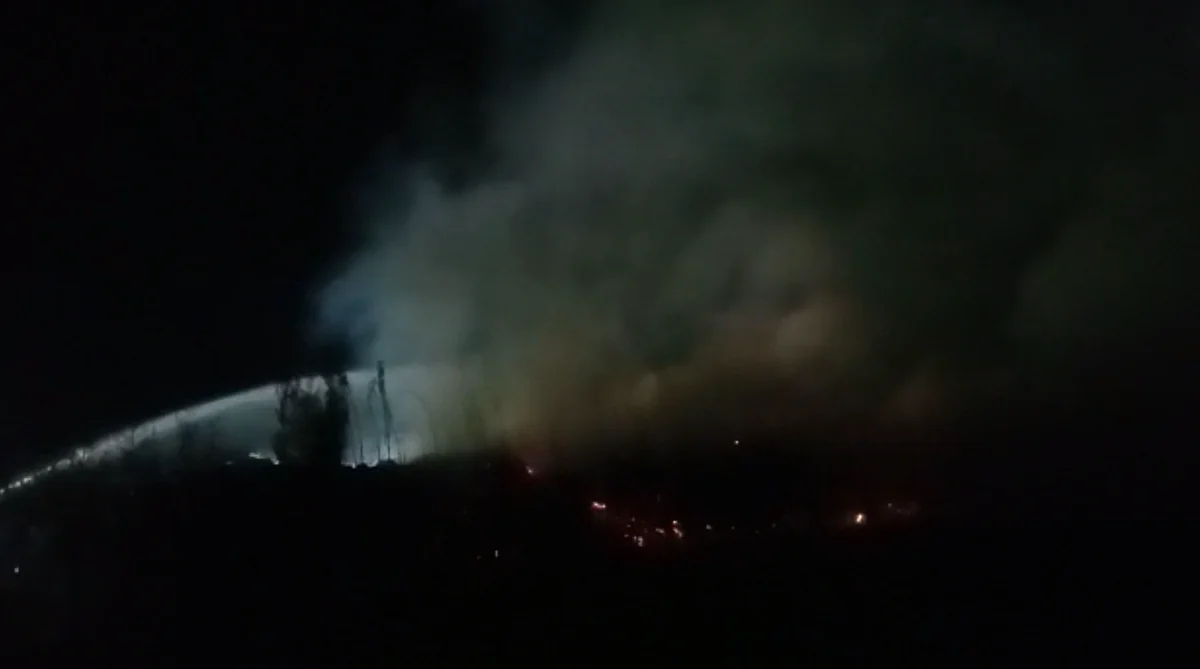 There have even been several incidents reported of the coir pith catching fire.