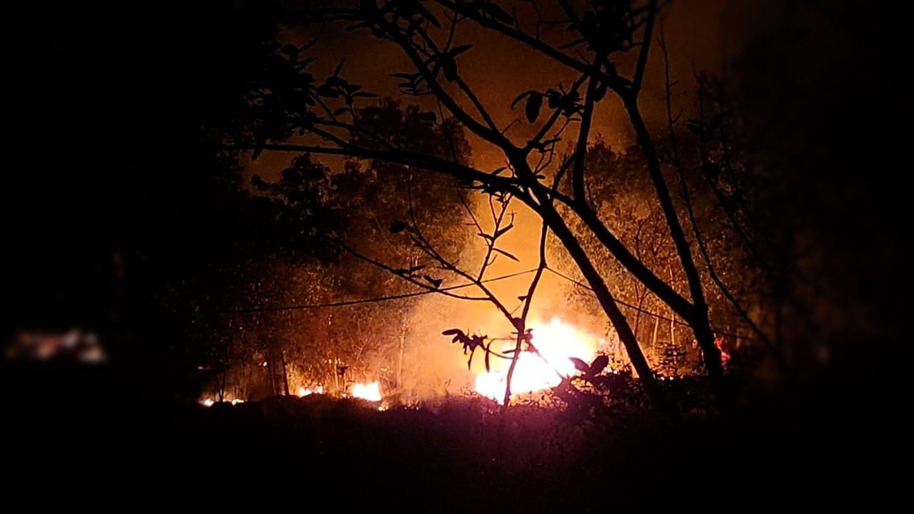 Forest fires continue to ravage Odisha’s Similipal Tiger Reserve.&nbsp;