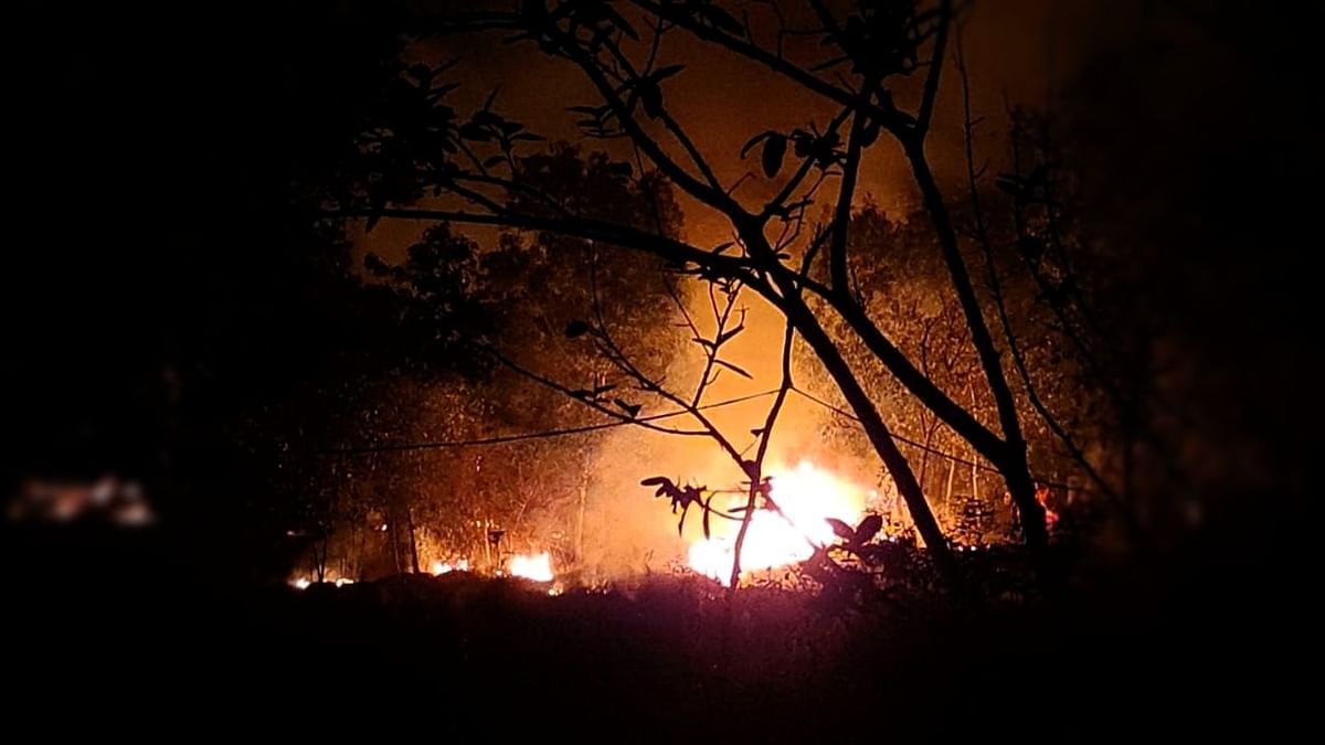 Sudden Rains Bring  Odisha’s Similipal Reserve Fire Under Control
