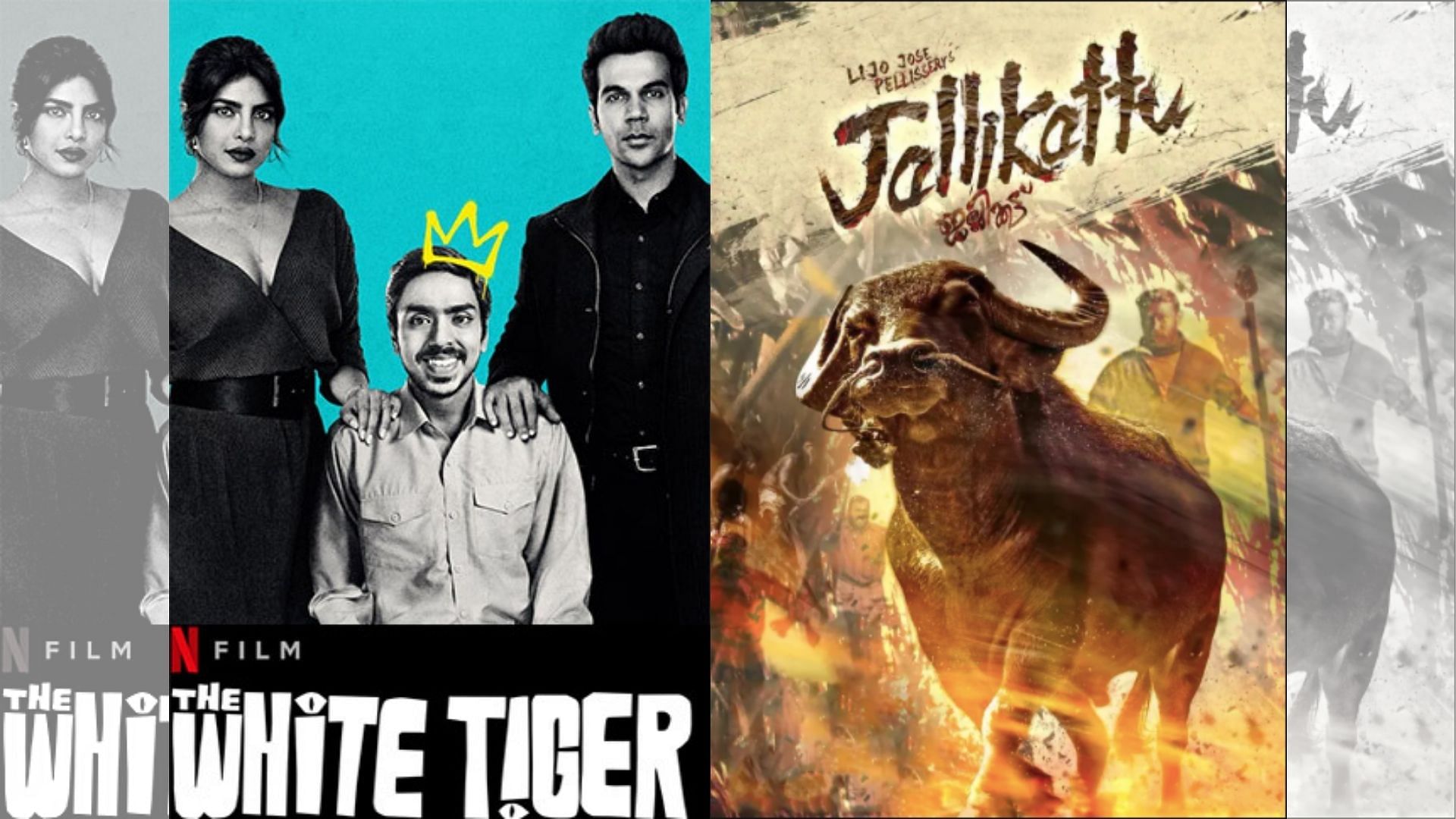 Poster of <i>The White Tiger </i>and <i>Jallikattu.</i>
