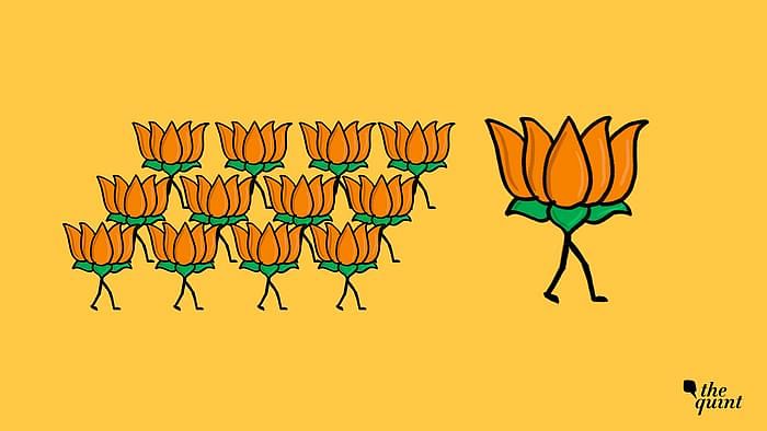 Image of the BJP’s symbol used for representational purposes.