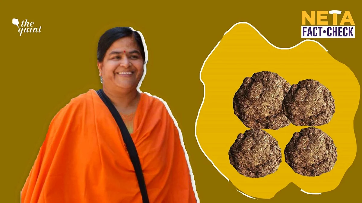 We also found that people suffer from health problems due to burning of cow dung cakes. Image used for representation.