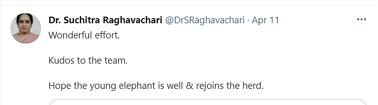 Odisha Authorities Rescue Elephant Calf From Well, Twitter Reacts