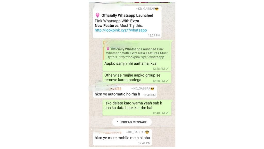 Users receiving WhatsApp pink link on a WhatsApp group.