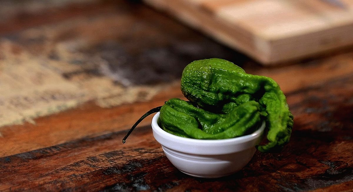 Assam chilies agriculture business idea 2024