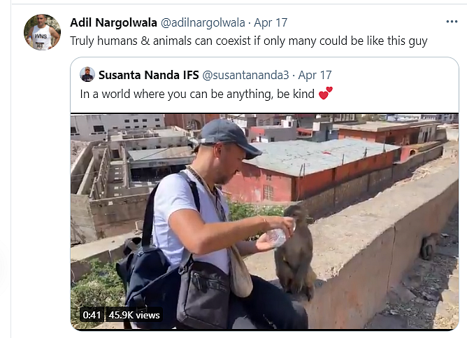 Watch: Moving Videos of Humans Helping Animals Amid the Pandemic