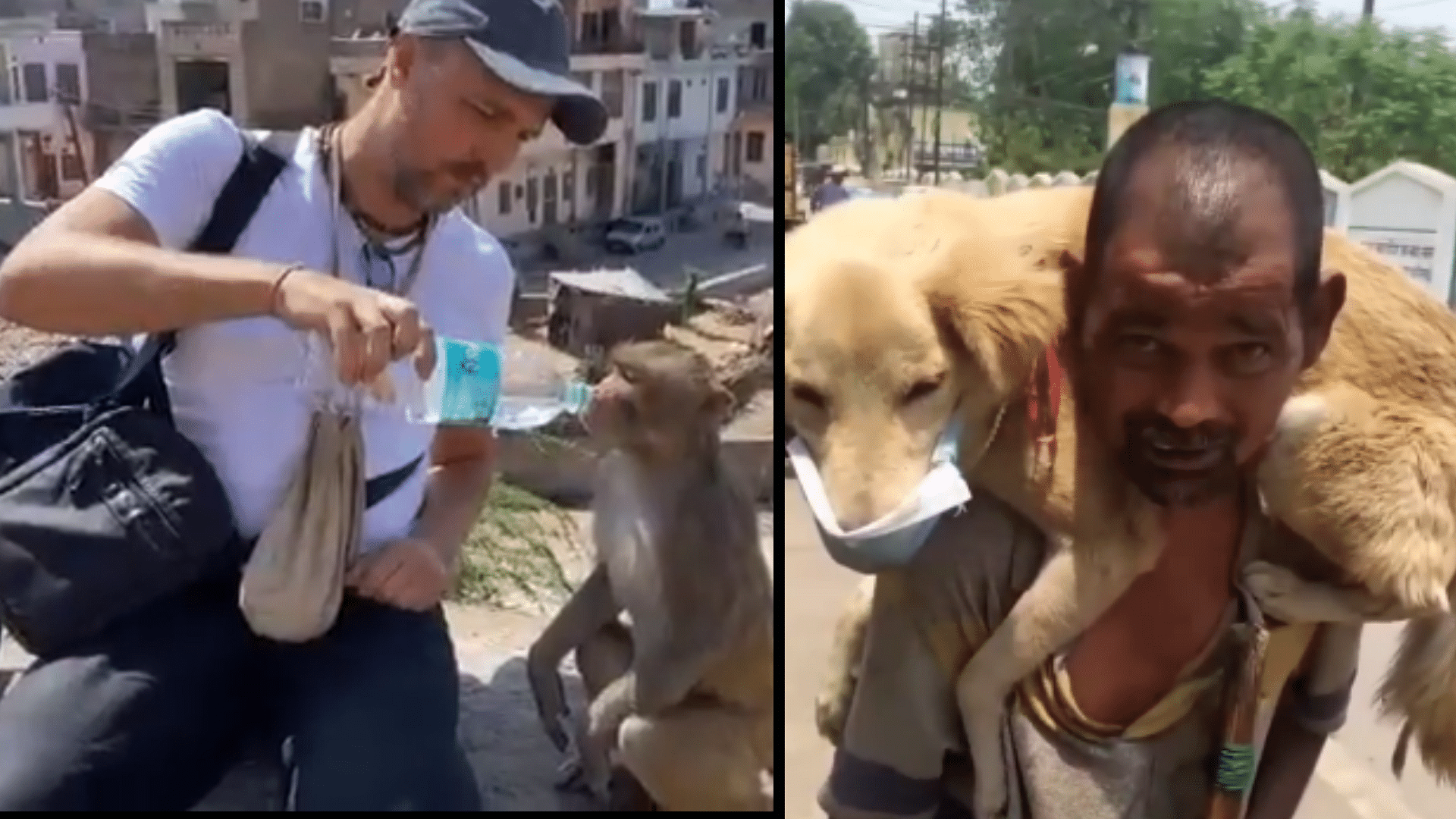 <div class="paragraphs"><p>Man giving water to monkeys, man giving his only mask to his dog</p></div>