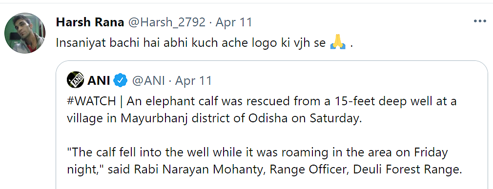 Odisha Authorities Rescue Elephant Calf From Well, Twitter Reacts