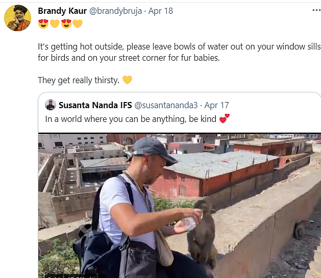Watch: Moving Videos of Humans Helping Animals Amid the Pandemic