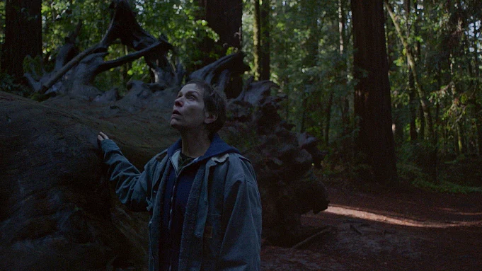 <div class="paragraphs"><p>A still from Nomadland.</p></div>