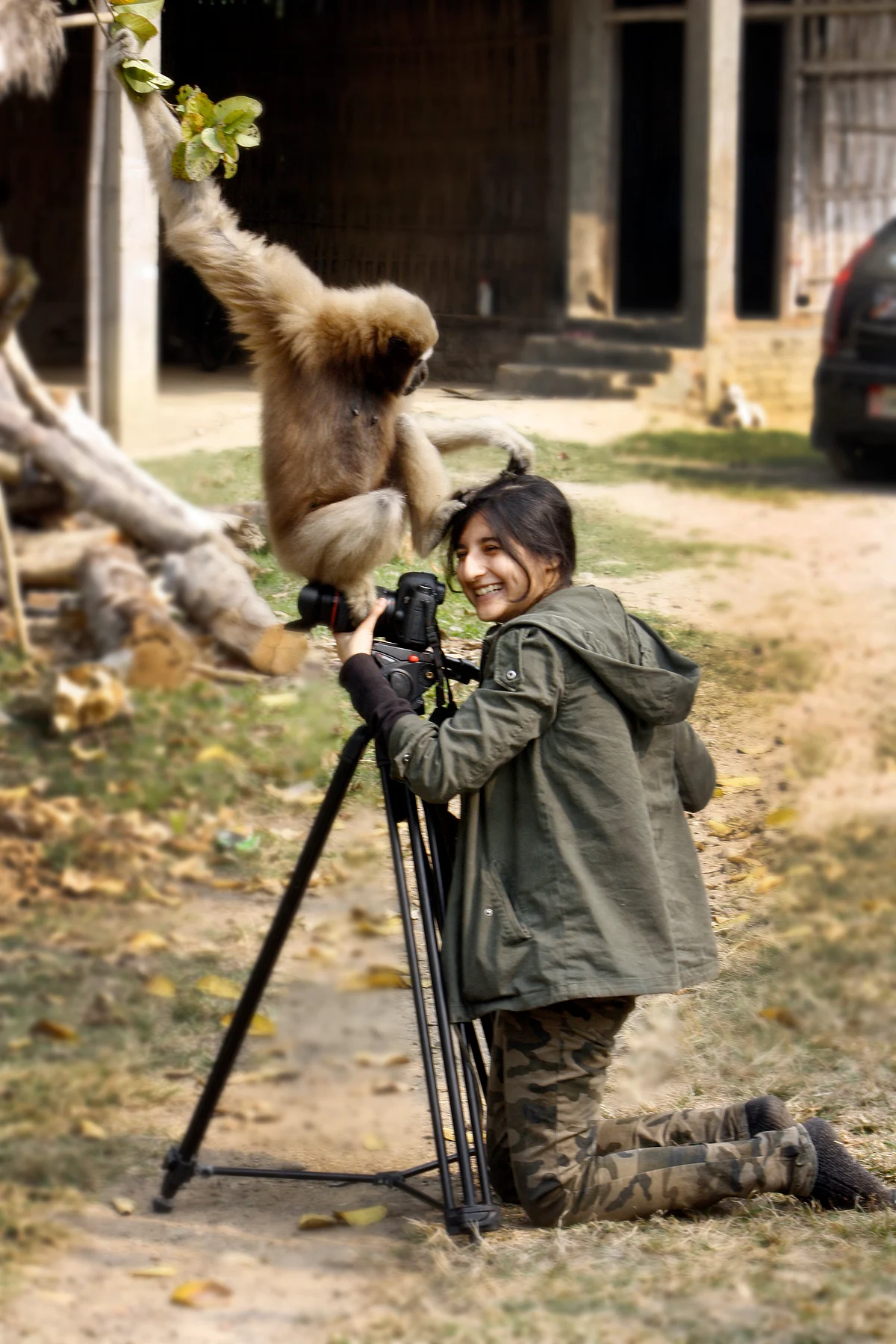 Ashwika Kapur talked of hoolock gibbons. They are one of the smartest and kindest creatures, she said.