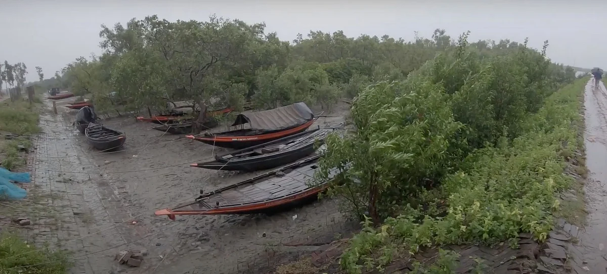 The Sundarbans is our first and greatest wall of defence against nature’s fury, Ashwika said.
