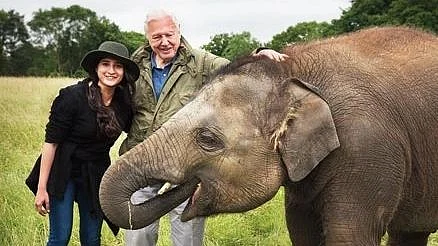 Ashwika had filmed for the Attenborough’s Life in Colour for Netflix & BBC in India.