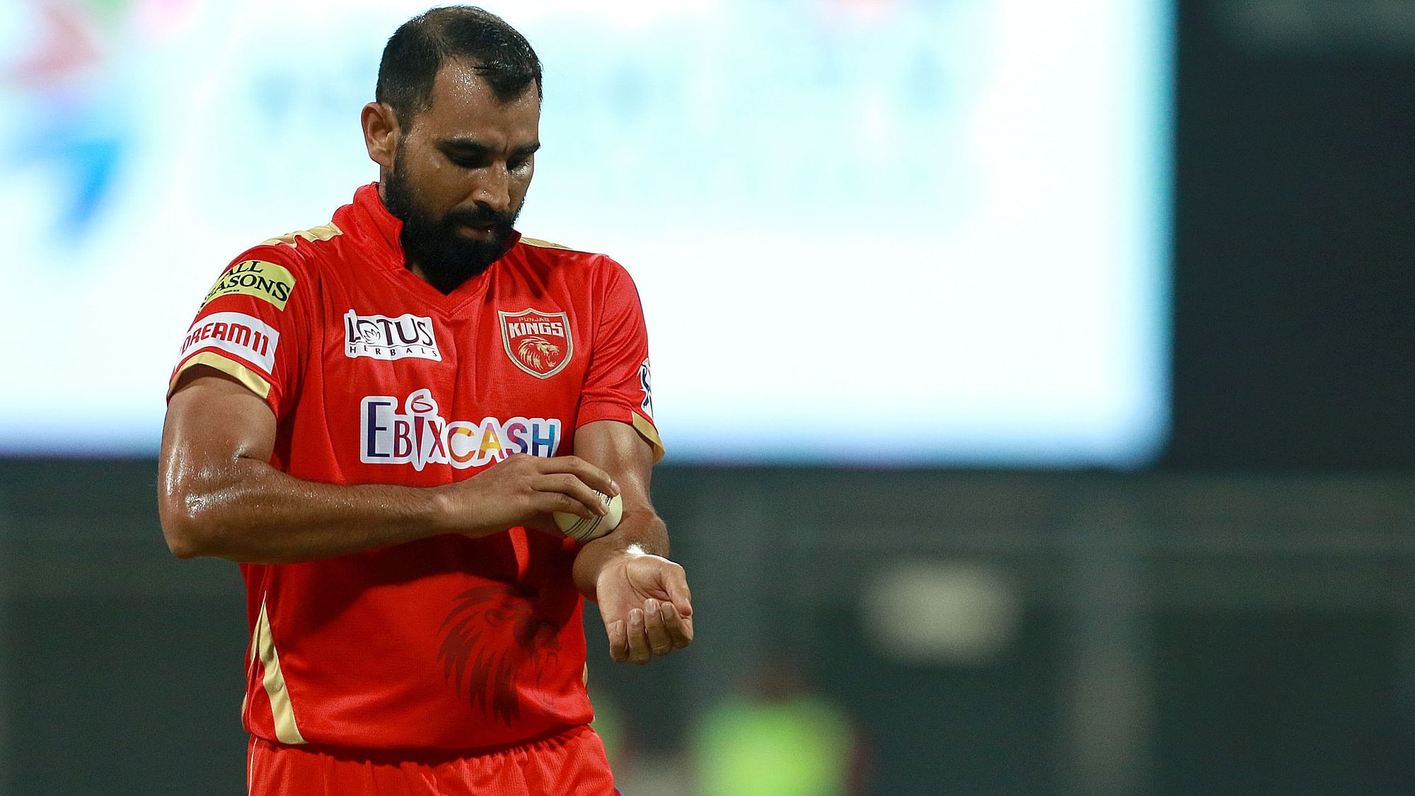 IPL Helped Get my Rhythm Back After Injury Layoff: Mohammed Shami