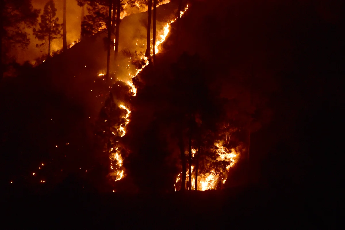 Guptkashi Forest Fire: COVID Not the Only Worry for U’Khand