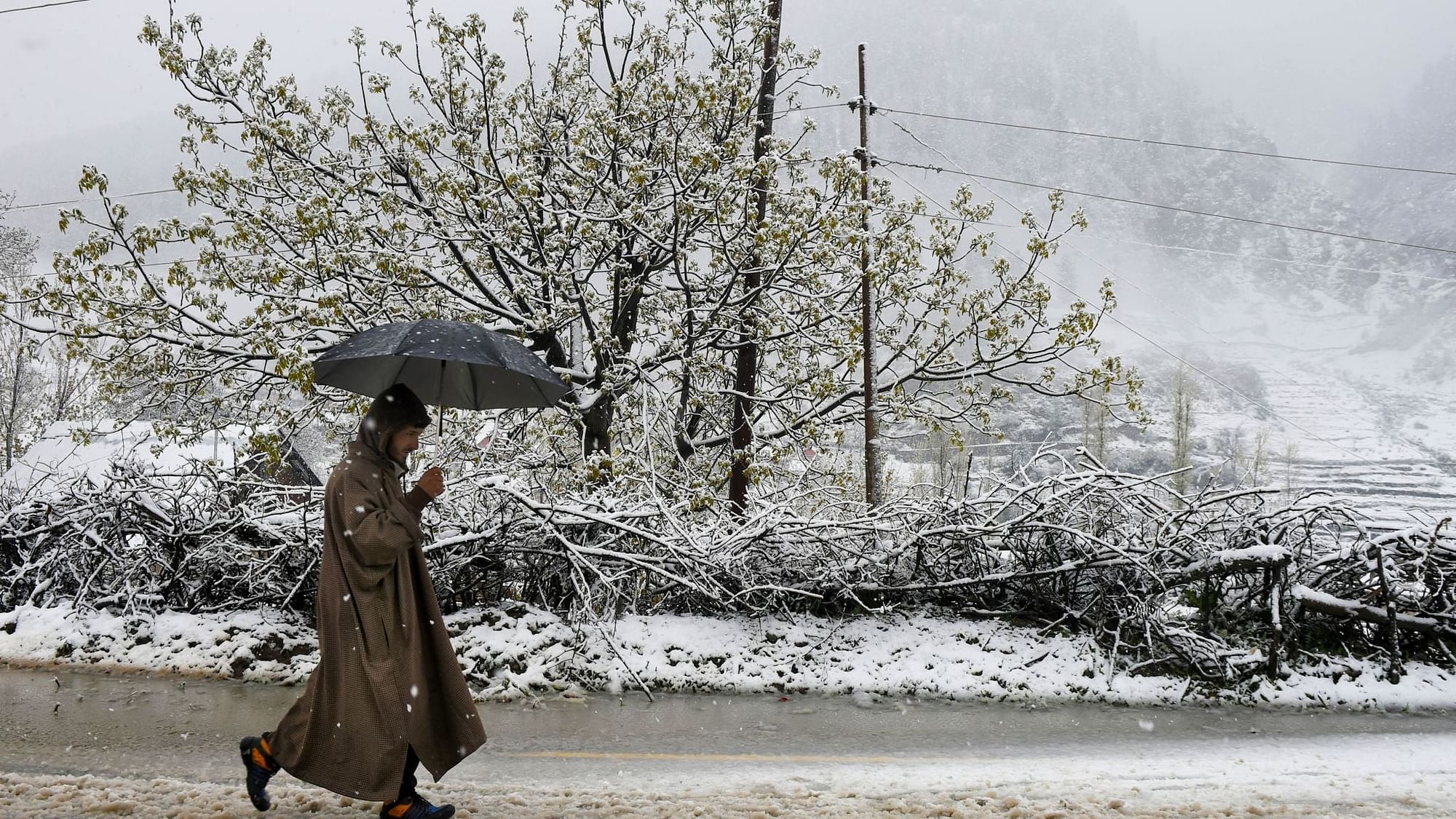 A woman walks with an umbrella in a snowfall near Gangangir in Ganderbal District of Central Kashmir, Thursday, 22 April 2021. Several areas in the higher reaches of Kashmir received fresh snowfall while the plains were lashed by rains.&nbsp;