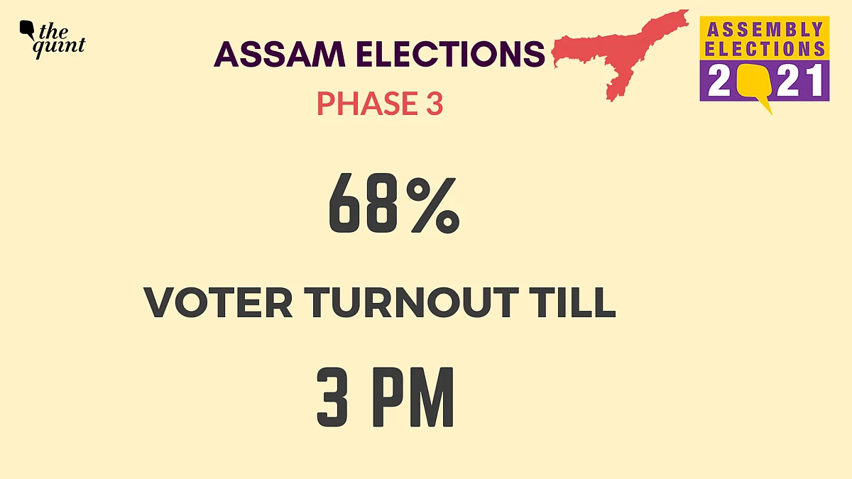 Assam Polls: 82.29% Turnout Till 7 pm as Final Phase Concludes