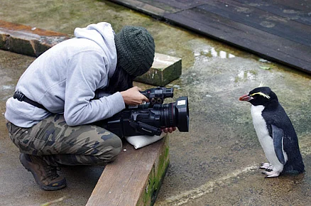 Ashwika Kapur become India’s youngest and only woman to win the Panda Award or The Green Oscar in the global category for her film about a celebrity Kakapo – Sirocco.