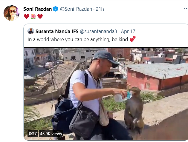 Watch: Moving Videos of Humans Helping Animals Amid the Pandemic