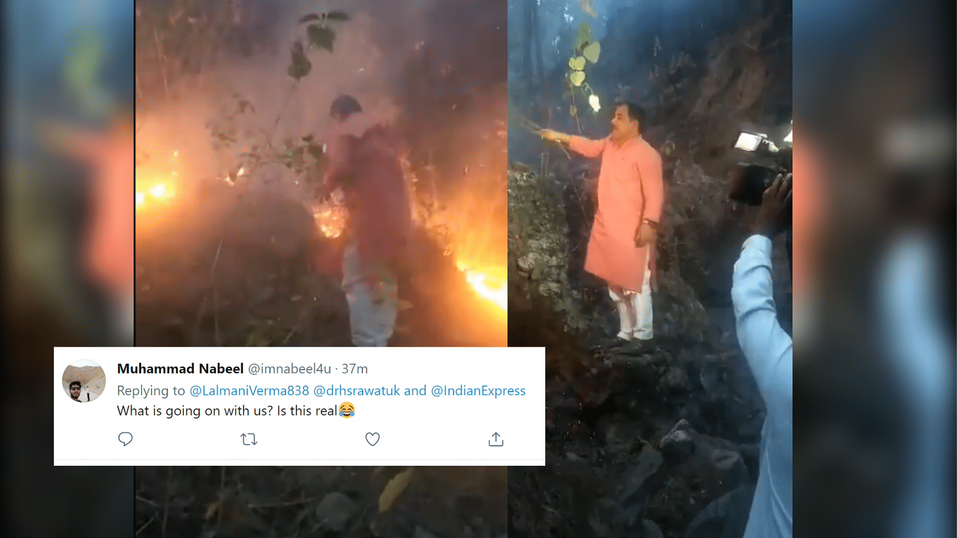 <div class="paragraphs"><p>Forest Minister Harak Singh Rawat using a bush to douse the forest fires</p></div>