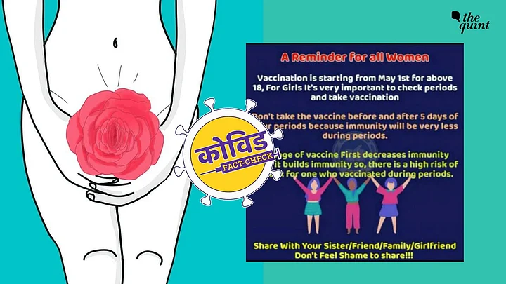 No, COVID-19 Vaccine Doesn’t Pose a Risk When Taken During Periods