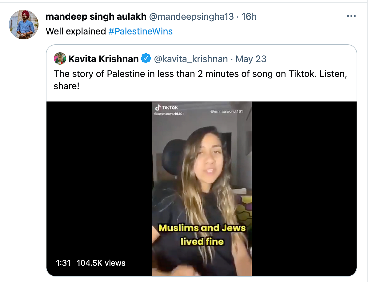 Watch: User Narrates 'Story of Palestine' in Viral TikTok Song