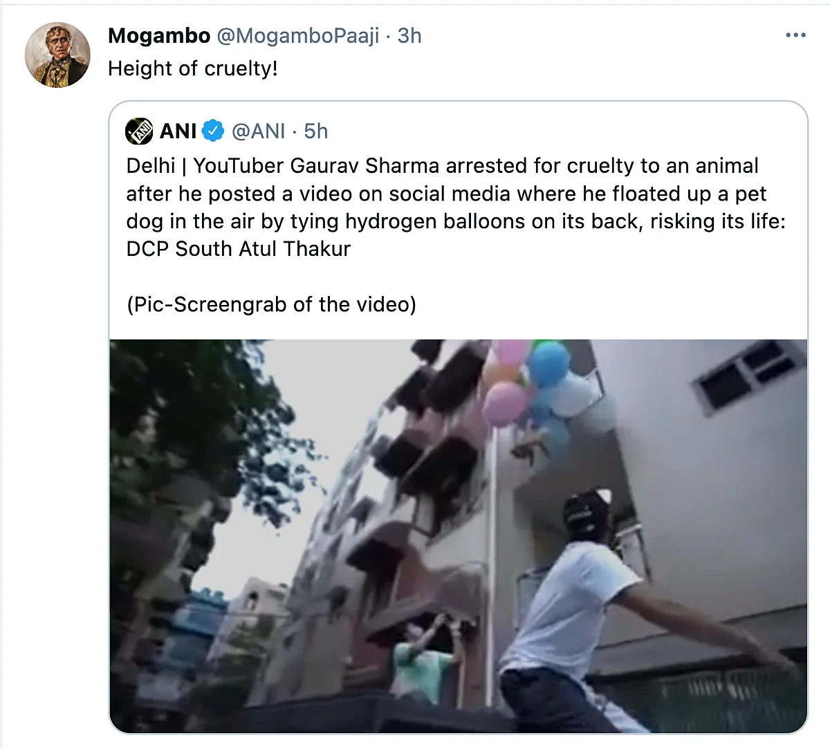 Twitter Furious as YouTuber Ties Dog to a Balloon to Make It Float