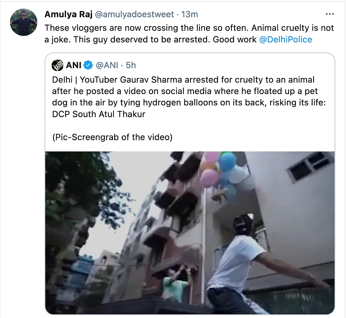 Twitter Furious as YouTuber Ties Dog to a Balloon to Make It Float