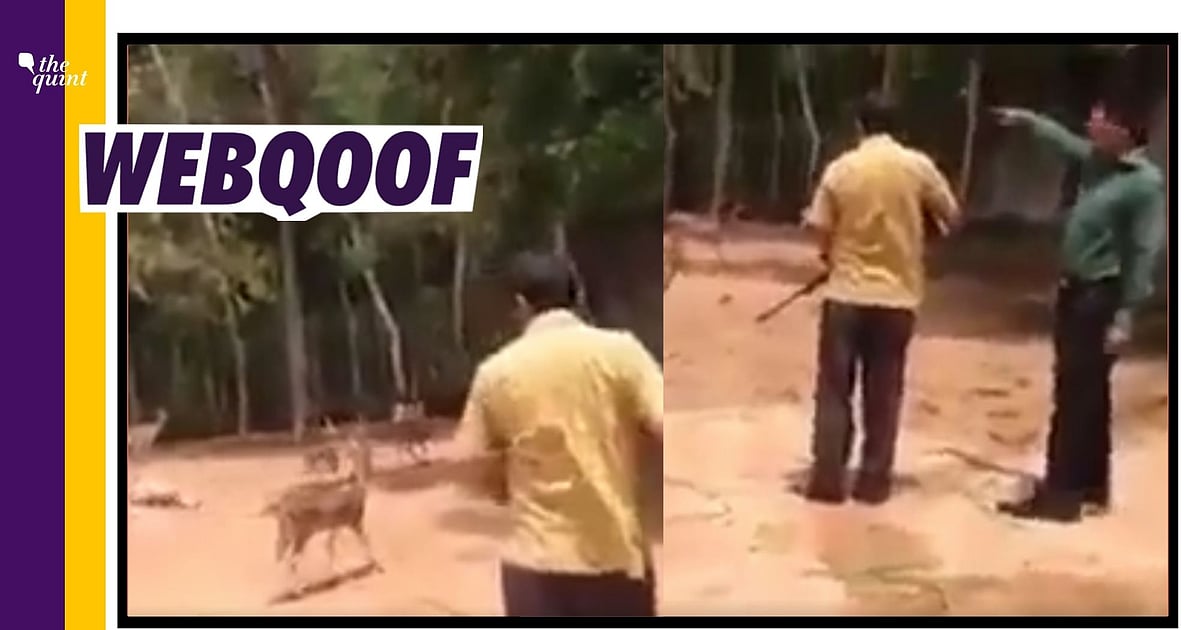 Fact Check of BJP MLA Anil Upadhyay Shooting a Deer: Old Bangladesh Clip Used to Claim BJP MLA 'Anil Upadhyay' Hunting Deer - Vimarsana News