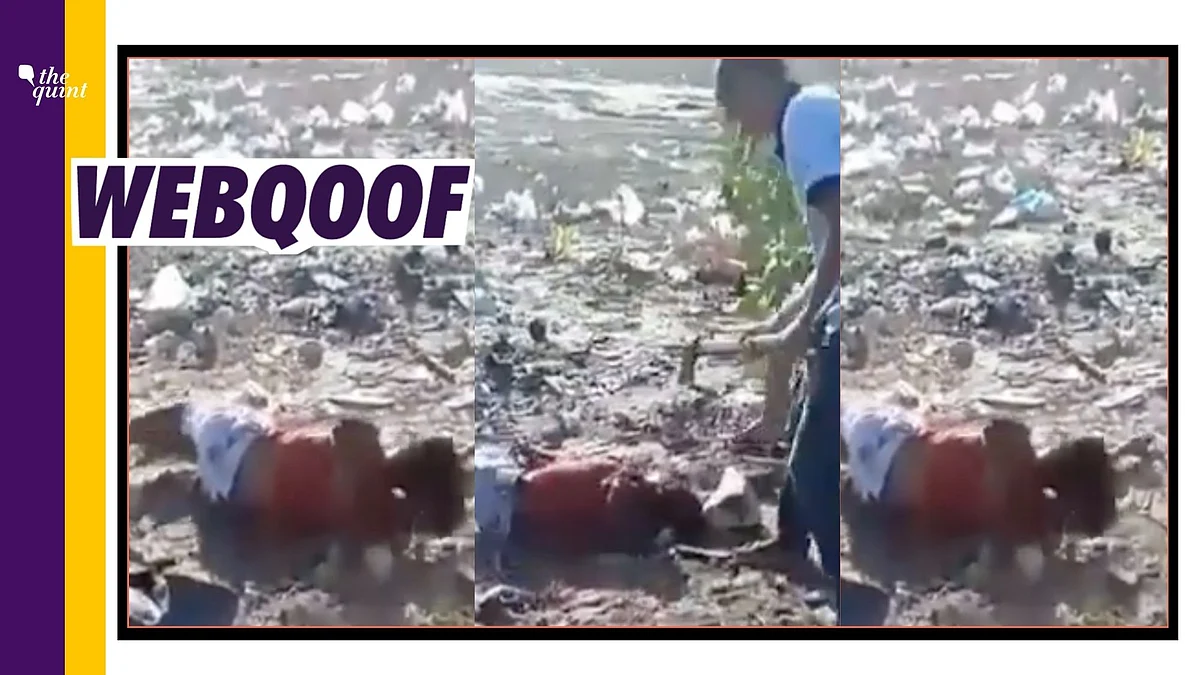 An old video from 2018, of an incident that took place in Brazil, is being shared on social media to falsely link it with post-poll violence in West Bengal.&nbsp;