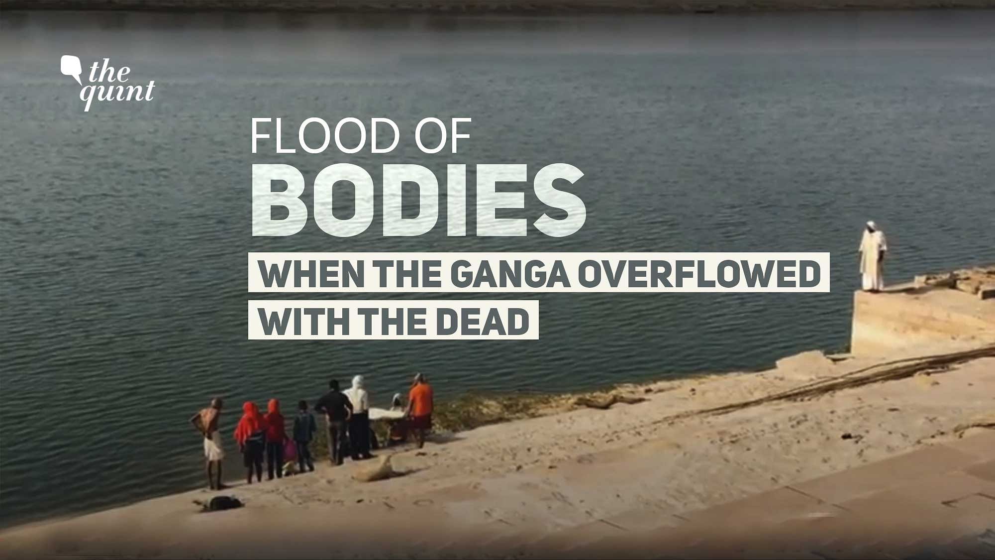 Ground report from a village bordering UP-Bihar shows how COVID-19 led to a flood of bodies in and along the Ganga.