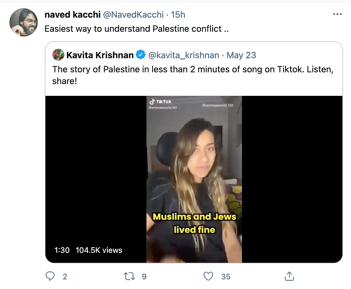Watch: User Narrates 'Story of Palestine' in Viral TikTok Song